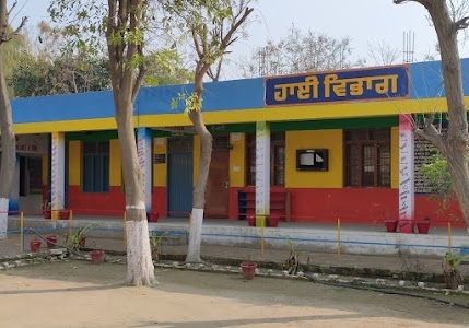 GHS BUDH SINGH WALA (MOGA)