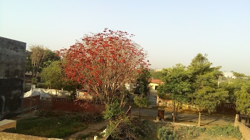Ekanki Enclave, Block G, Pi I & II