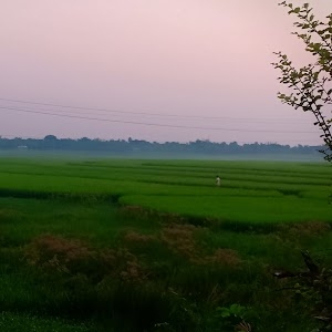 Rishikul