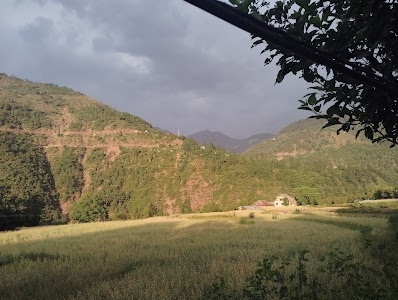 Amlook colony uri