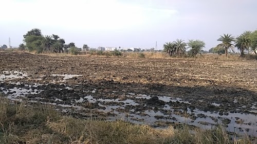 Kolar