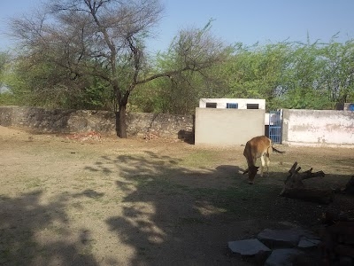 Rajkiya Uchcha Prathmik Vidyalaya, Beskalai