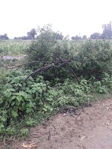 Kannapur