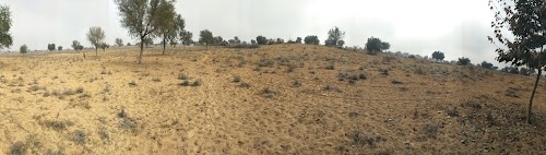 Jharsar Kandhalan