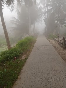 Bagaria Khargachhi