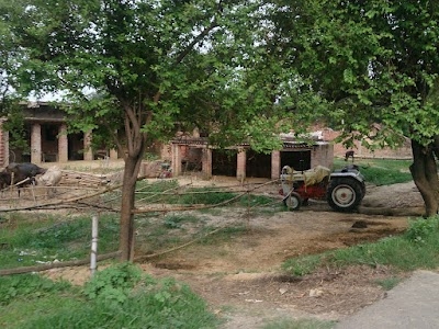 Semara