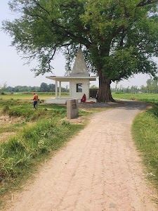 Dr Avinash Tiwari's Sankbir baba temple of lord Shiva