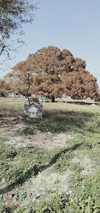 Makhdum Ali ashraf