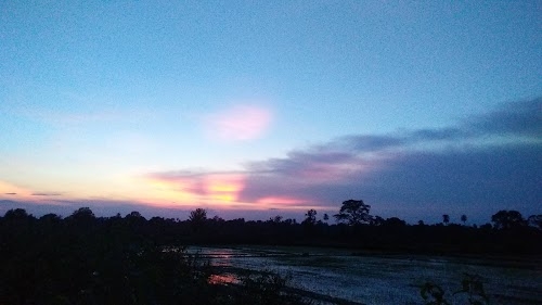 Nuapali
