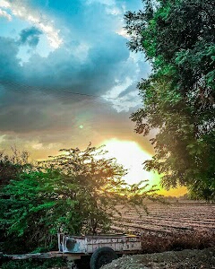 Navaniya