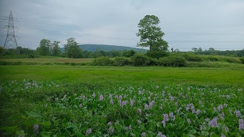 Karbi anglong pahar