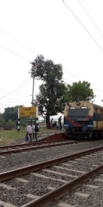 Vedchha