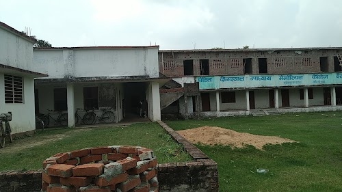pt. Deendayal upadhyay memorial college