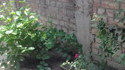 Kol Baj Bahadur