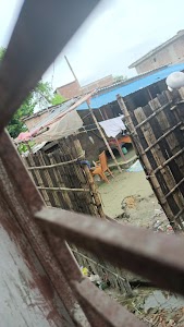 Bhopali kar pagal khana