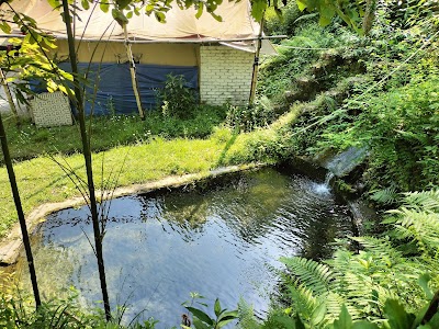 Brentwood Sanctuary - Resorts in Mussoorie