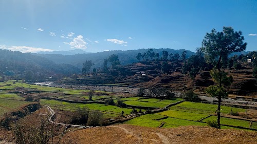 Dangoli
