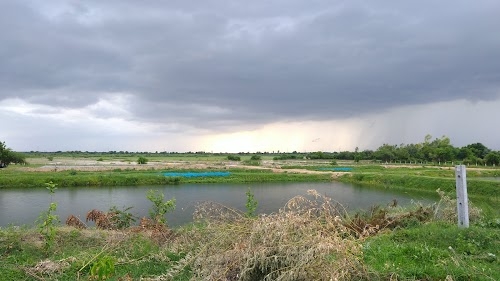 Limbasi
