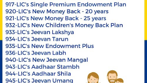 Senior Insurance Advisor
