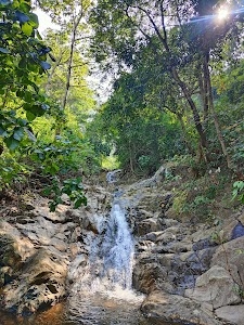 Johar falls