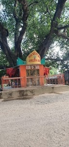 जय जीन बाबा