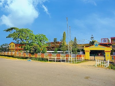 Bir Lachit Bor Phukan College
