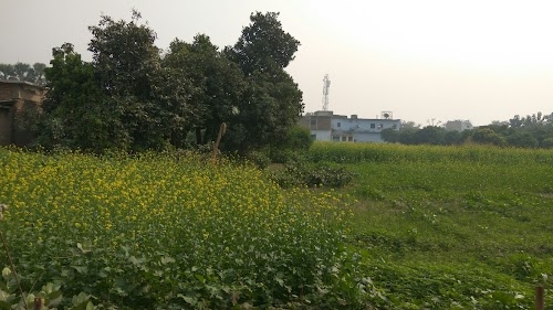 Sahajitpur