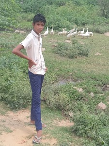 Badapur