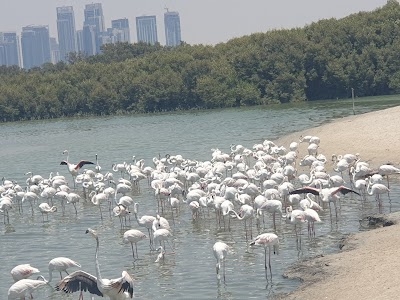 Ras Al Khor