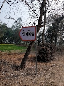 Ronahia