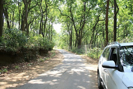 Kalesar National Park