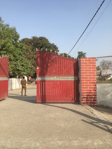 Hilton's School