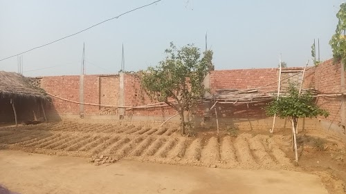 Sharada Mandir