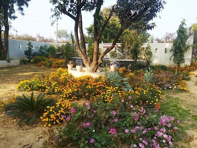 Rakhi yadav