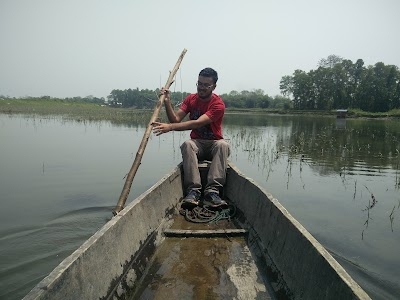 Majuli Island Protection & Development Council