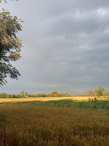 Tribhuwanbasti