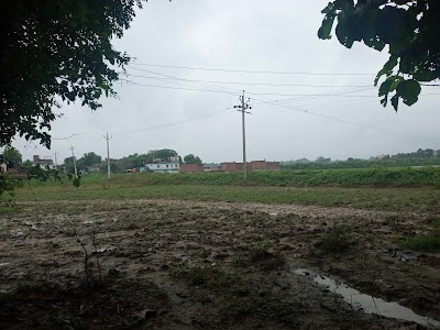 Sawana