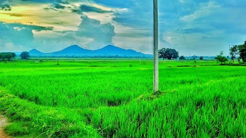 Padiagaon