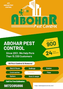 Abohar Pest Control