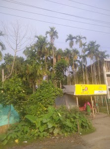 Kakina