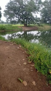 Kansa