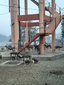 Tahsil Mahavan