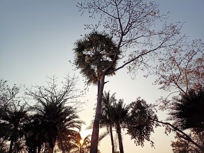 Simarwara