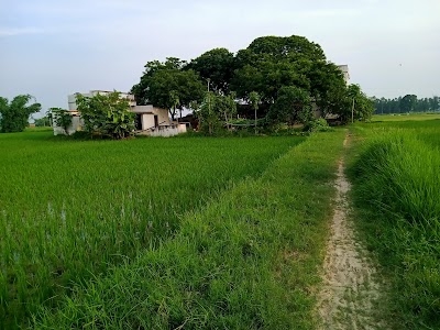 Dukhi ram Villa