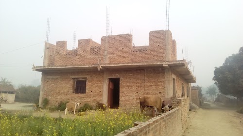 Danapur