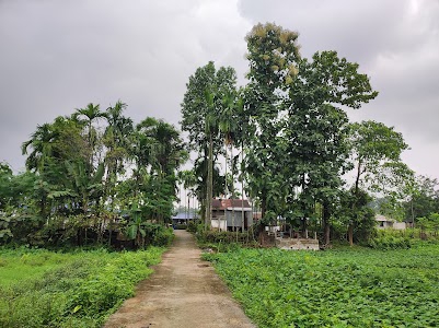 Tipukhola Picnic Spot