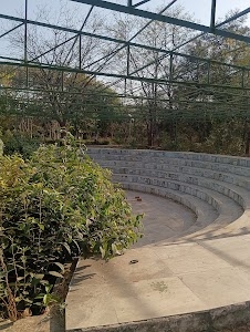 Open Theatre