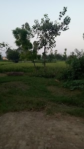 KRISHNA VEER RAJLY