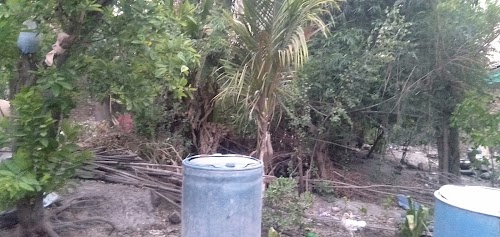 Suraram Colony