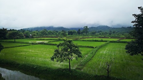Singhari